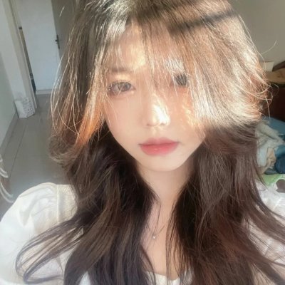 躲在阁楼的安妮·法兰克